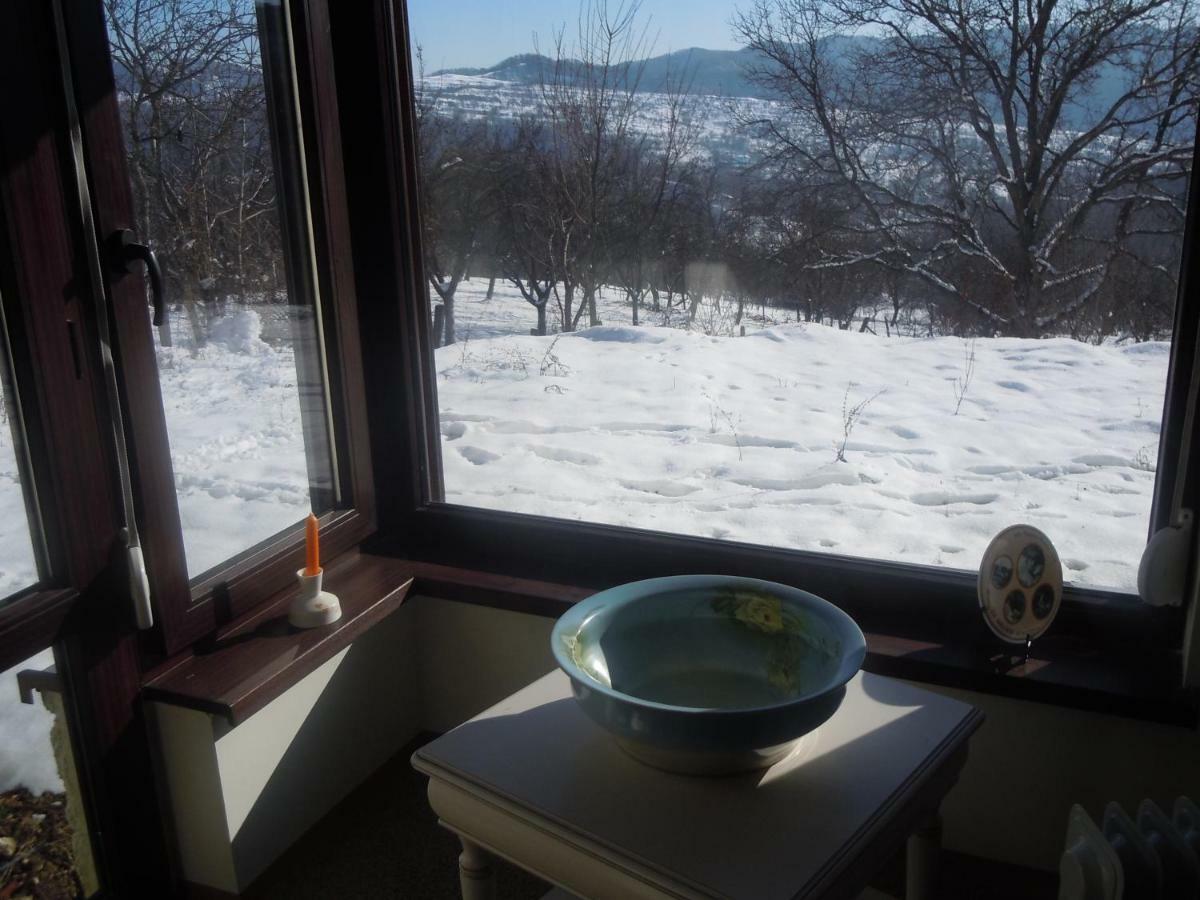 Cottage Poe Poienari Esterno foto