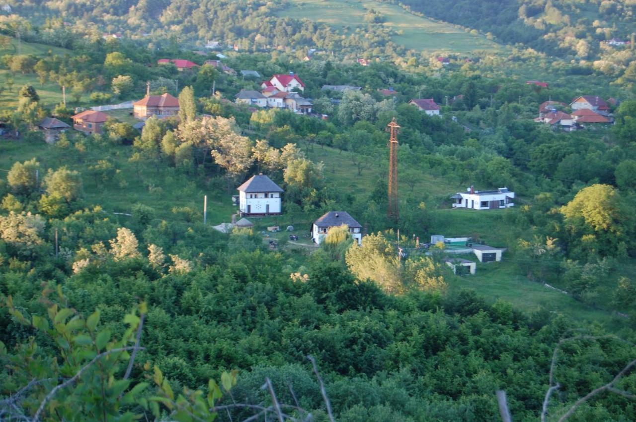 Cottage Poe Poienari Esterno foto