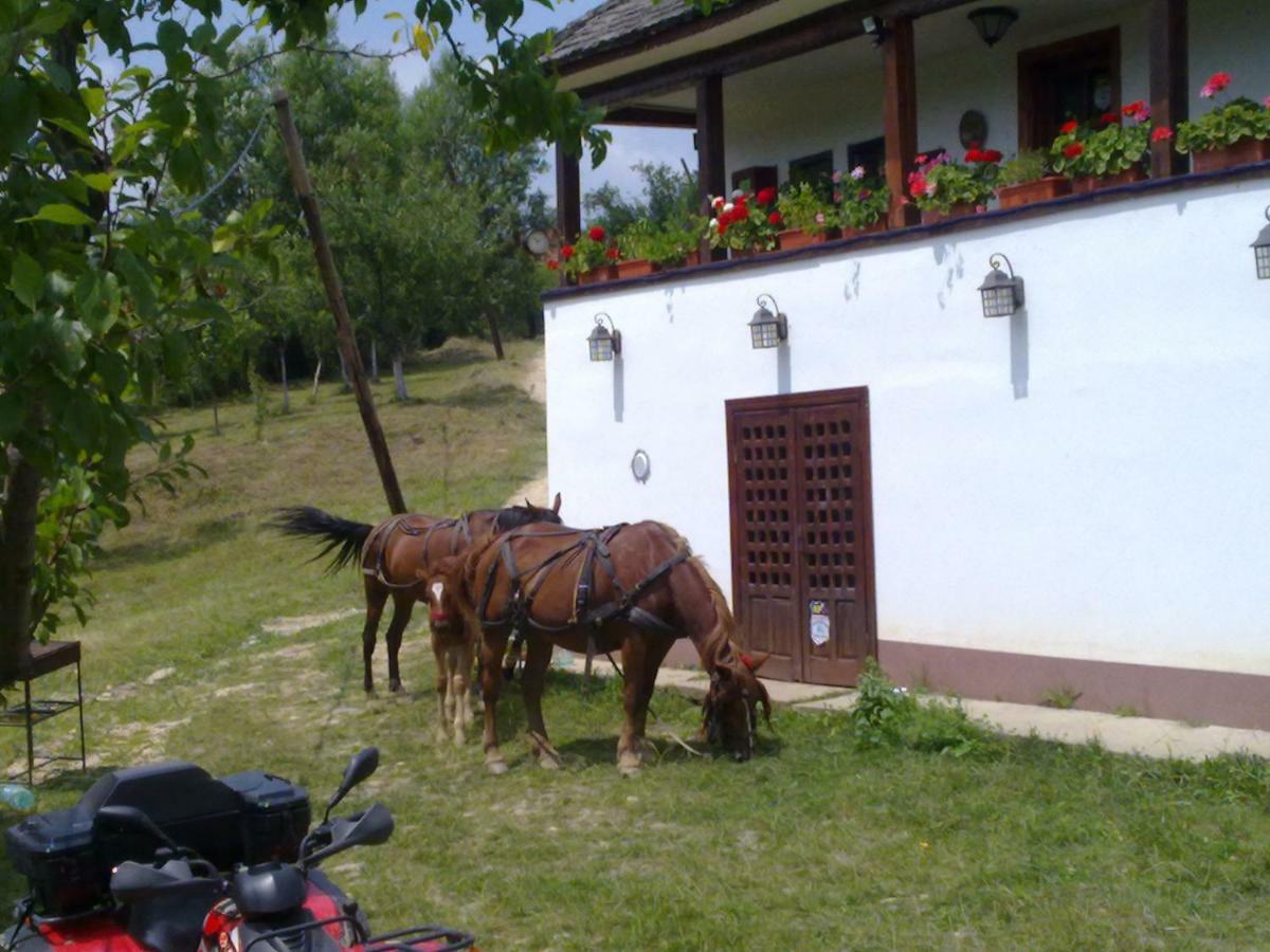 Cottage Poe Poienari Esterno foto