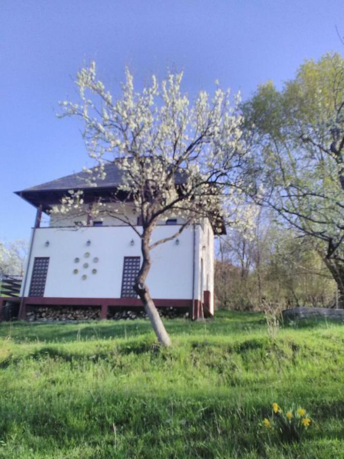 Cottage Poe Poienari Esterno foto